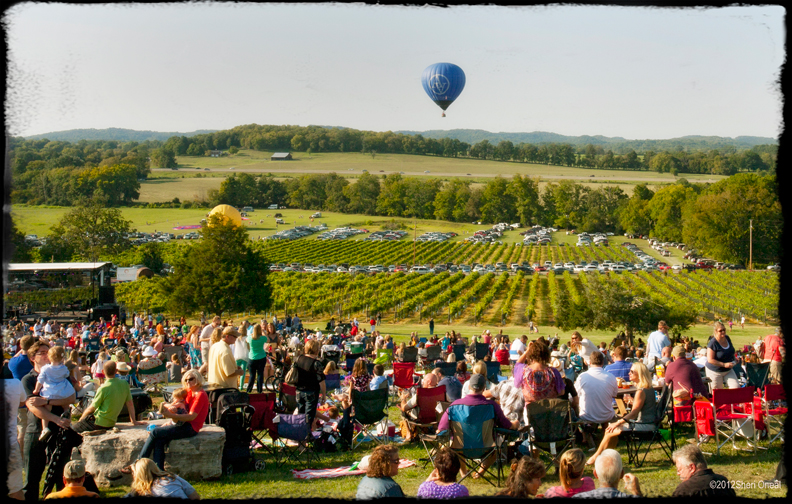 Arrington Vineyards hot air balloons