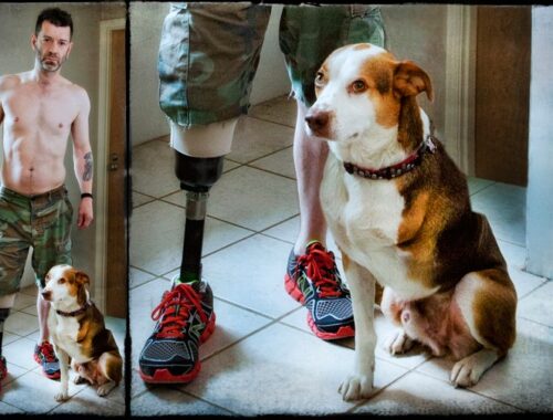 Travis Meadows amputee with 3 legged dog