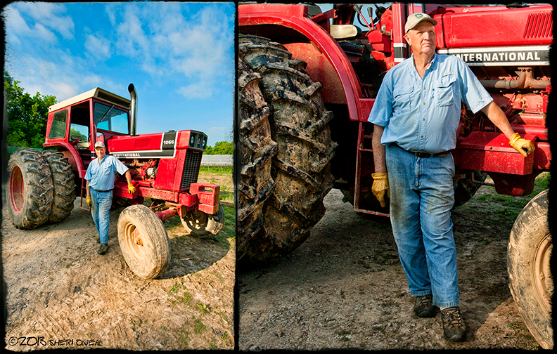 Delvin Farms farmer with red tractor