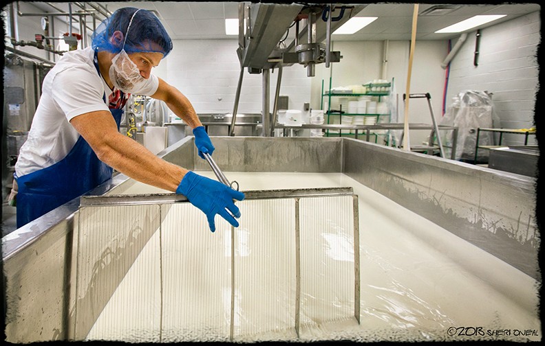 worker making cheese curd