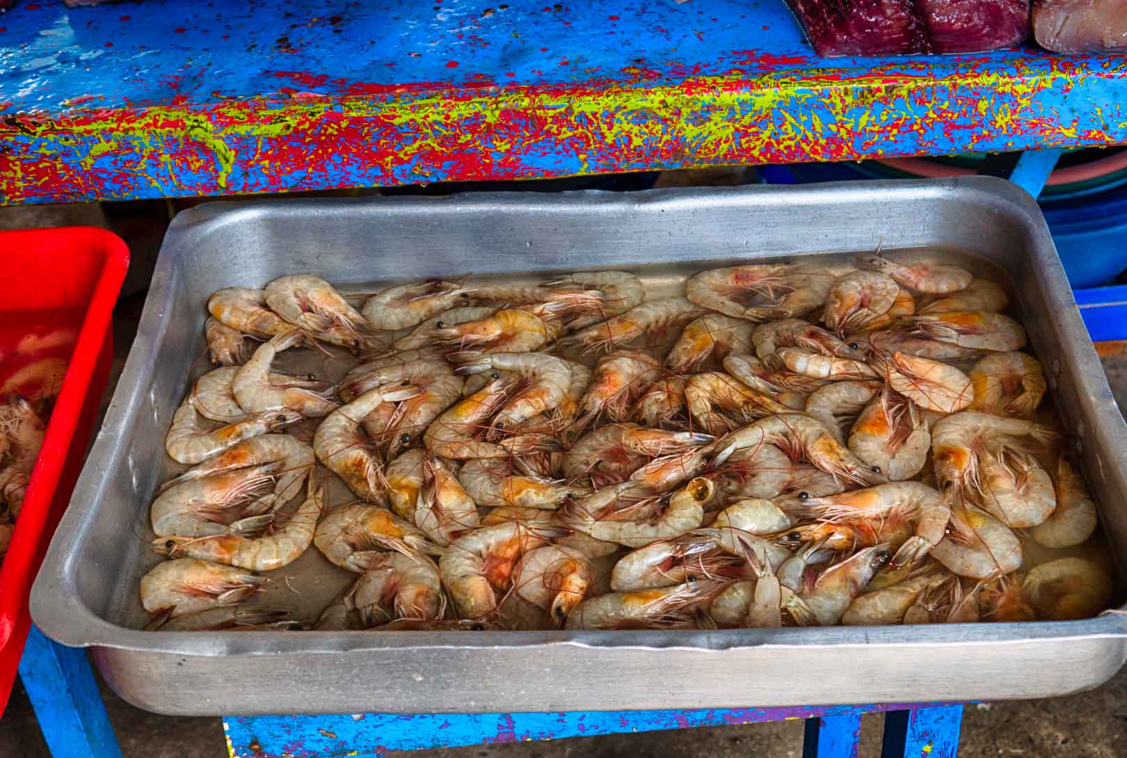 metal pan of freshly caught raw white shrimp in water on bright blue stand at food market in Ecuador