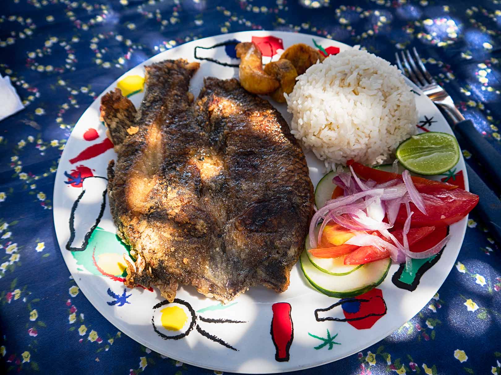 Fish, roe, rice, lime, and a salad with onion, tomatoes, and cucumber prepared on a plate at the Sendero los Caimanes, Ecuador.