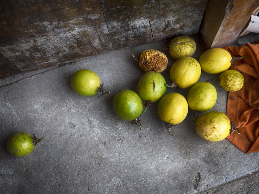 Fruit, Bahía de Caráquez, Ecuador.